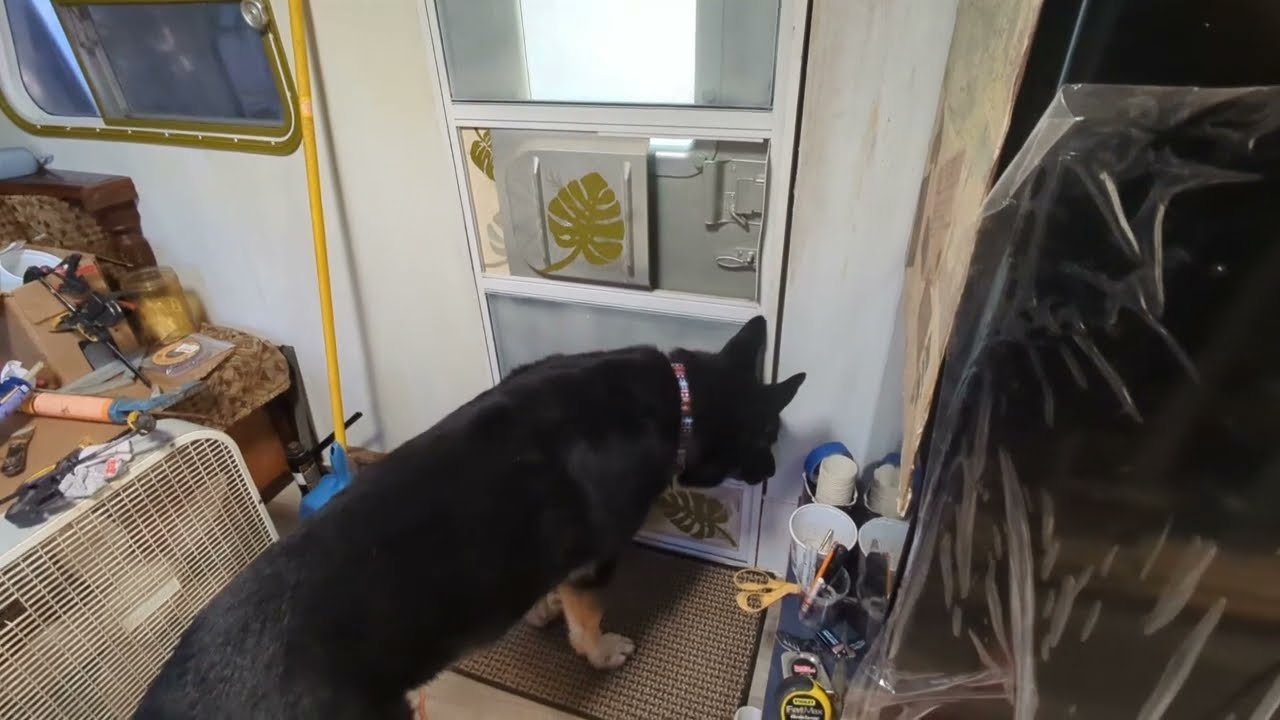 Переустановка мансардного окна, сантехнический хаос и обзор Lupa | Le Calamita 10/12