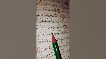 سورة لقمان #اكسبلور #تلاوة قرانية جميله جدا 💚