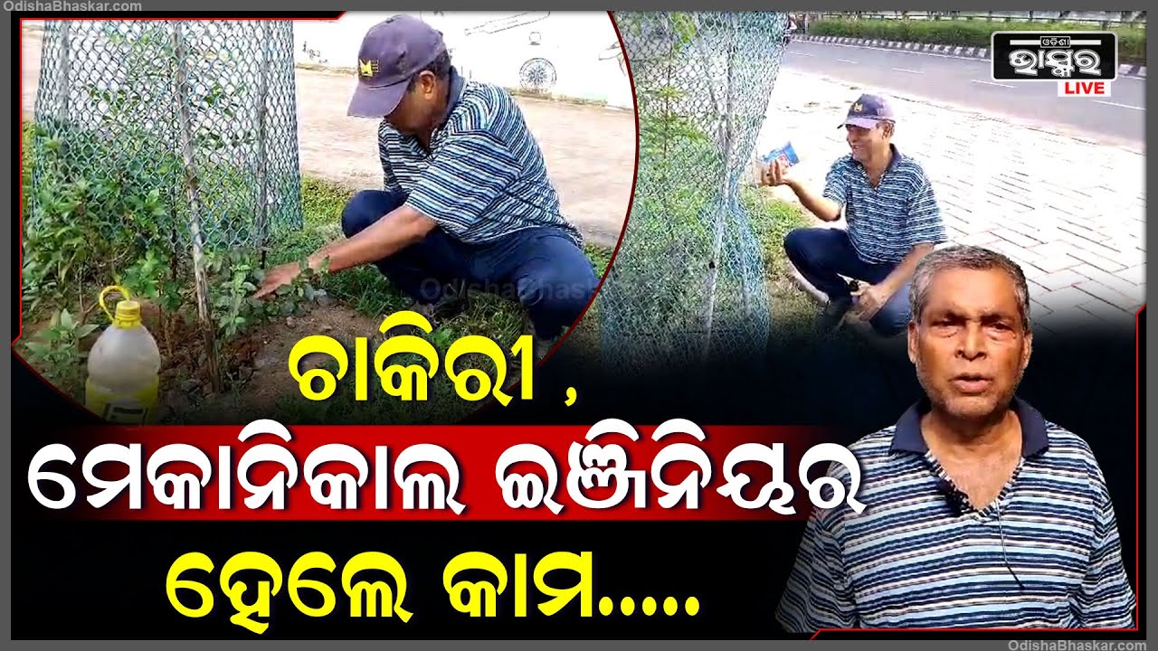ଗଛର ପ୍ରକୃତ ବନ୍ଧୁ ଲଲାଟେନ୍ଦୁ , ବାକି ଜୀବନ କରି ଦେଇଛନ୍ତି ଗଛ ନାଁରେ , ପରିବାର ସଦସ୍ୟ ପରି ନିଅନ୍ତି ଯତ୍ନ