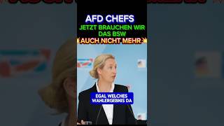 💥BSW biedert sich AFD AN⚡ #afd #bsw #2026 #merz #cdu #spd #partei #politik #höcke #erfurt #weidel