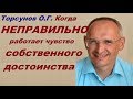 Торсунов О.Г. Когда НЕПРАВИЛЬНО работает чувство собственного достоинства. Екатеринбург, 2017.04.24