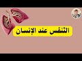 كيف يتنف س الإنسان و ماهي القواعد الصحي ة للتنفس الس ليم