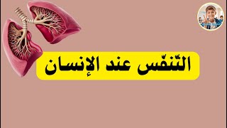 كيف يتنف س الإنسان   و ماهي القواعد الصحي ة للتنفس الس ليم   سمعها