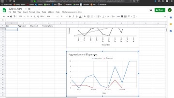 Behavior Data Tutorial Google Sheets