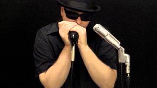 Bye Bye Bird / Sonny Boy Blow - S.B. Williamson II / John Mayall blues harmonica cover chords