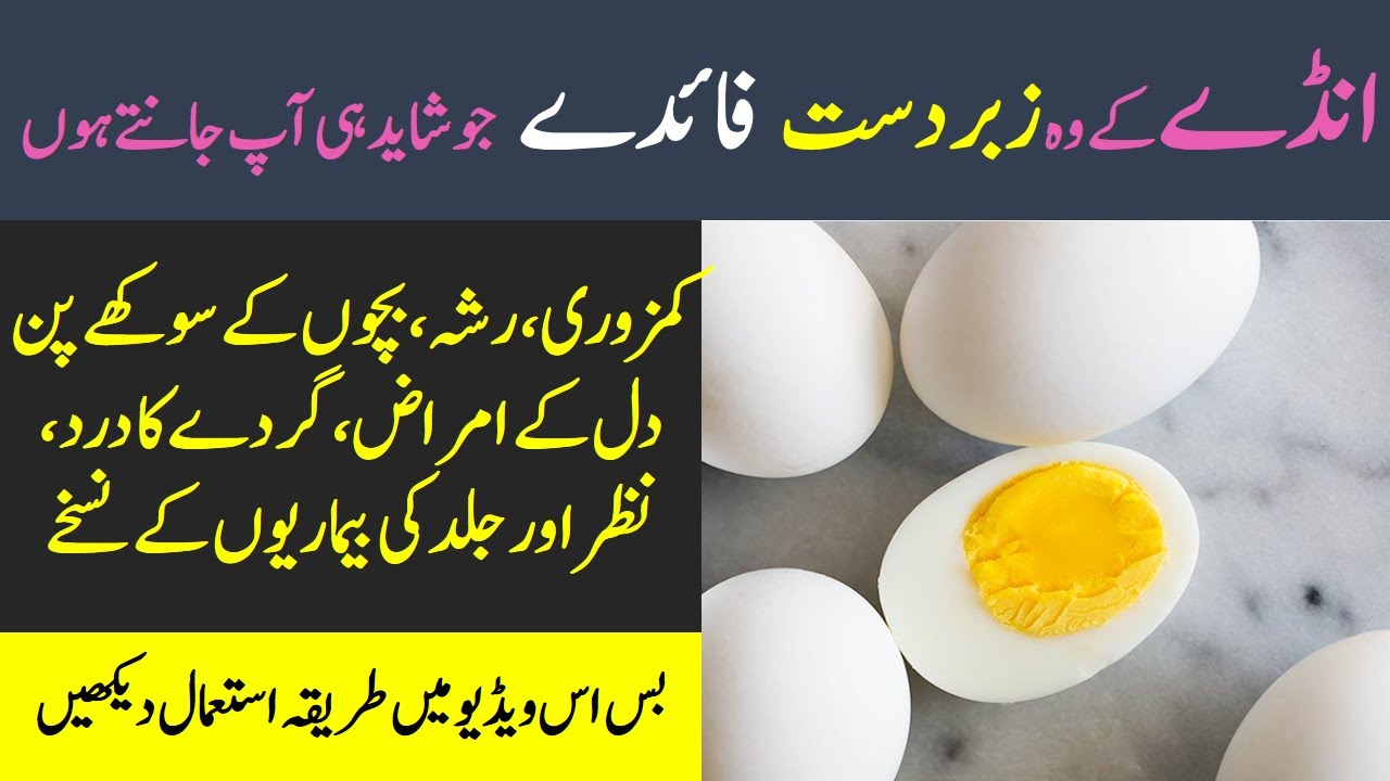Benefits of eating 1 boiled egg daily | Health Feed - YouTube