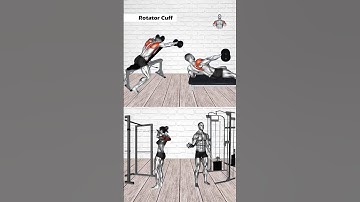 Build strong, stable shoulders with these 4 essential rotator cuff exercises @GymFit177