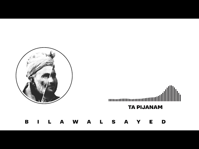 TA PIJANAM OFFICIAL AUDIO | BILAWAL SAYED | HAMZA BABA