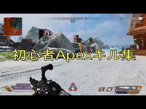 初心者Apexキル集