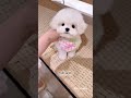 Are you feeling okey ma puppyy🥹?