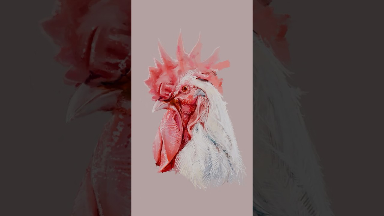 Rooster Portrait – Expressive Painting in Procreate Short