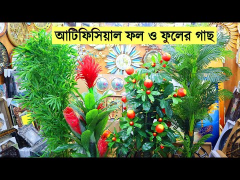 ভিডিও: মানবদেহে ট্যাটু করায় বিশ্ব বিখ্যাত ব্র্যান্ড