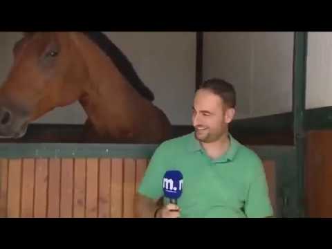 Άλογο ερωτευτηκε  ρεπόρτερ του TV Μακεδονία!