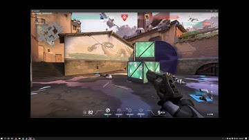 A Game of Cat and Mouse