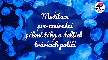 Co je příčinou pálení žáhy?
