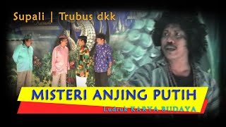 Sopo Sing Gelem Dipijeti Supali Rekkk :) Mumpung Supali Dadi Dukun Pijet