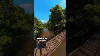 Bulusukan Eco Park Pila Laguna