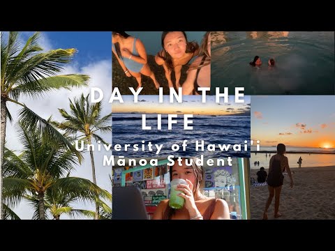 Video: Er University of Hawaii Manoa en god skole?