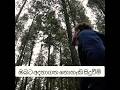 ඔබ‍ට අදහාගත නොහැකි දේවල් ☠️[time travaling hipster ]#shorts #trendingshorts #viral#fypシ #timetravel