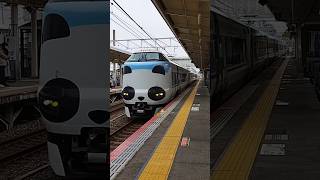 和泉砂川駅でパンダくろしお通過 #鉄道 #jr #阪和線 #和泉砂川 #鉄道youtube