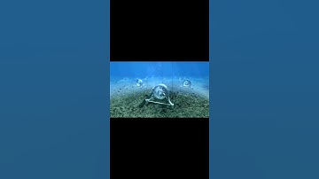 Installation of a marine turbine on the seabed to generate electricity from ocean currents #shorts