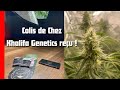 Jdb180 colis de khalifa genetics 