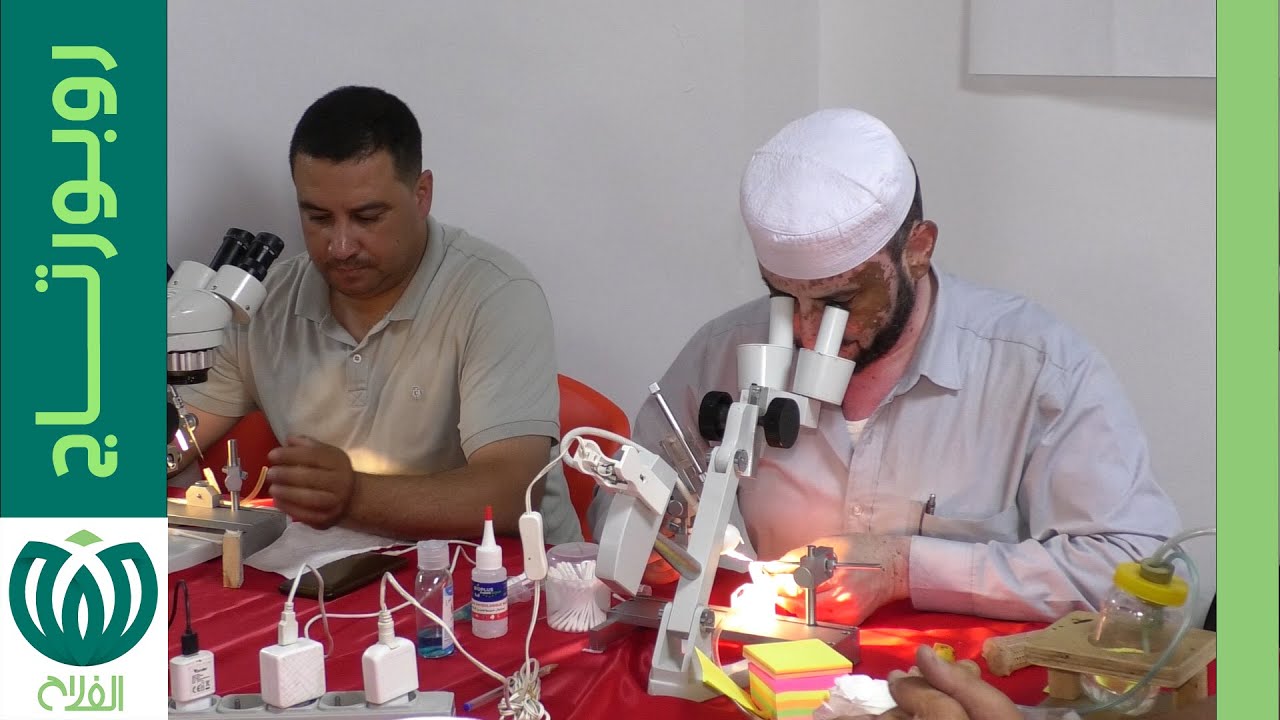 ورشة تكوينية حول التلقيح الإصطناعي للنحل