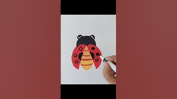 how to draw easy and beautiful lady Bug #ladybird #easydrawing #easyladybird #ytshorts #video