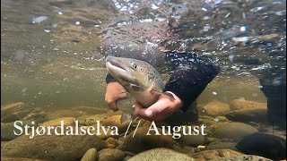 Atlantic Salmon Fishing in Stjørdalselva // August by Allfiske 2,597 views 3 weeks ago 9 minutes, 44 seconds