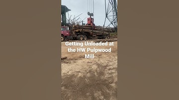 Crane unloading Log Truck at the HW Mill