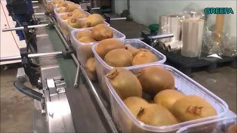 GREEFA Kiwi Flowpack