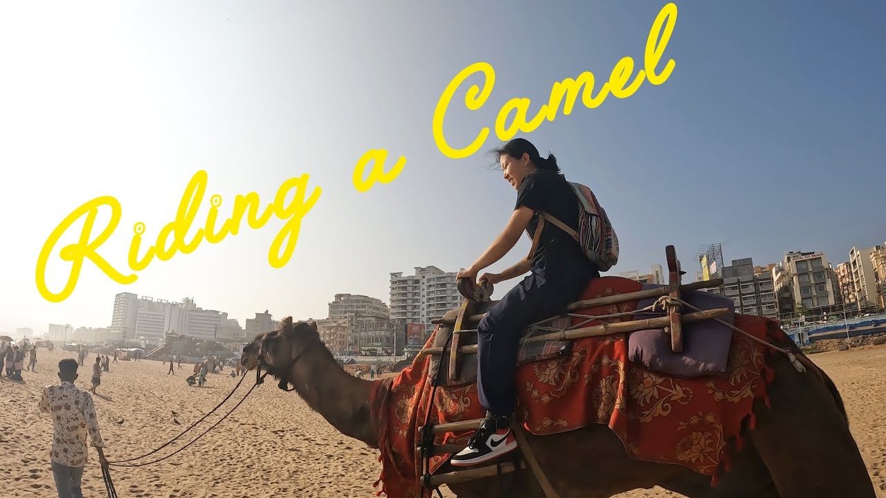 Camel safari || My Hilarious First Camel Ride Experience 🐪