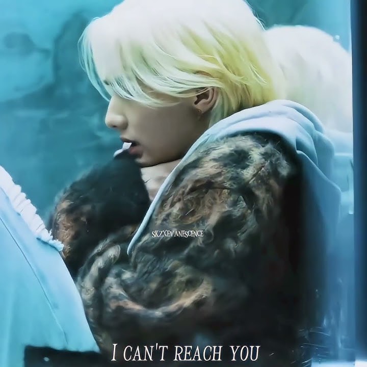 same time, same place, but different dimensions💔#Skz#Hyunjin#Yongbok#STAY#billieEilish#Wildeflower