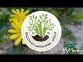 Backyard Gardening : Kumusta Ka? Lyrics - Fernando Poe Jr.