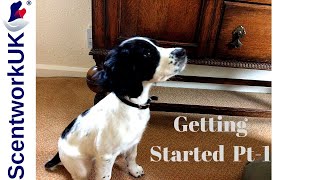 Scentwork  How to start 1