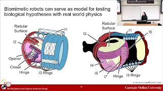 Maryland Robotics Center Seminar, December 2, 2022: Vickie Webster-Wood