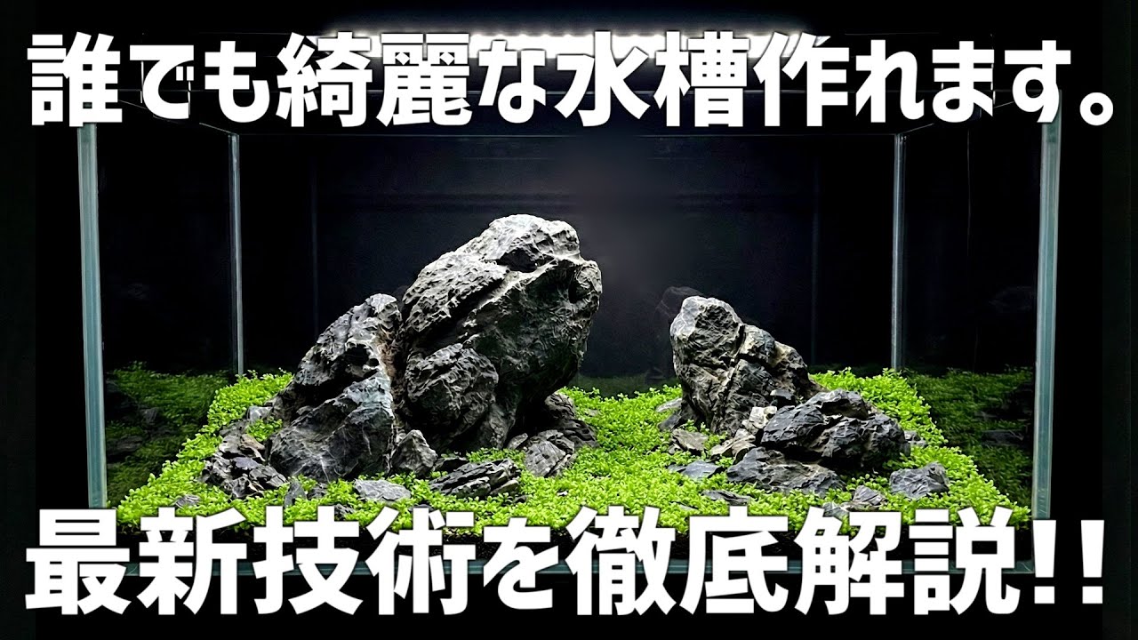 マジで革命起きてます。憧れの綺麗なレイアウト水槽を作るための方法を徹底解説！初心者から上級者まで超必見！