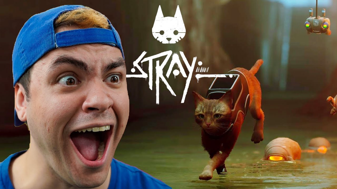 ATENÇÃO: STRAY o Jogo do Gatinho NÃO é o Que Estão dizendo! 