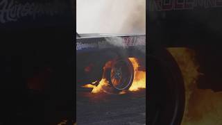 A #KillAllTires Yule Log