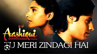 Tu Meri Zindagi Hai।। Aashiqui।। Amit S, Anuradha Paudwal।। 90s Hit।।