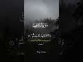 Surah Al-Kafirun Recitation | Peaceful & Calming #SurahKafirun #QuranShorts #IslamicVideos #shorts