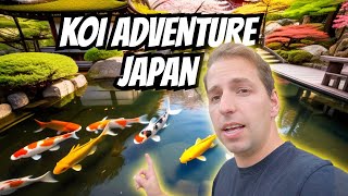 My Koi Trip to Japan (All Episodes!!) 😍