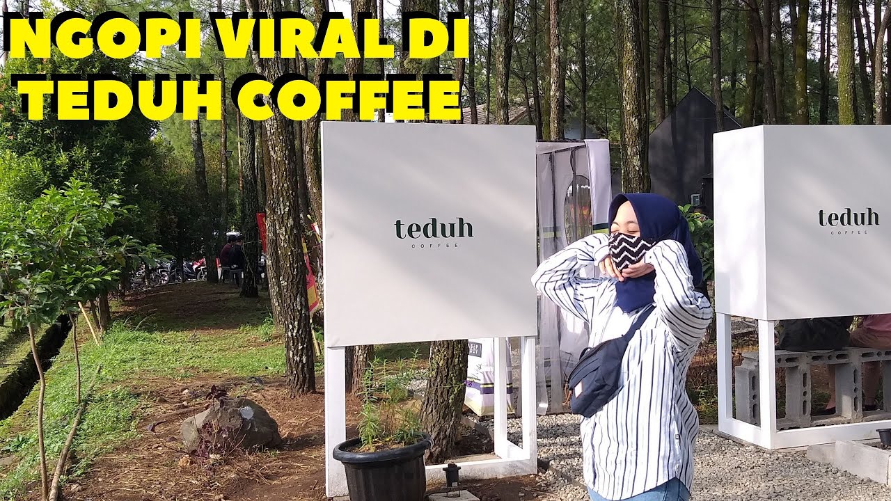 Teduh Coffee - Ngopi Dikelilingi Pohon Pinus Viral Banget