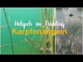 Hotspots im Frühling - Karpfen#angeln