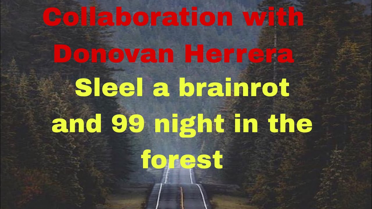 The collaboration with Donovan Herrera 