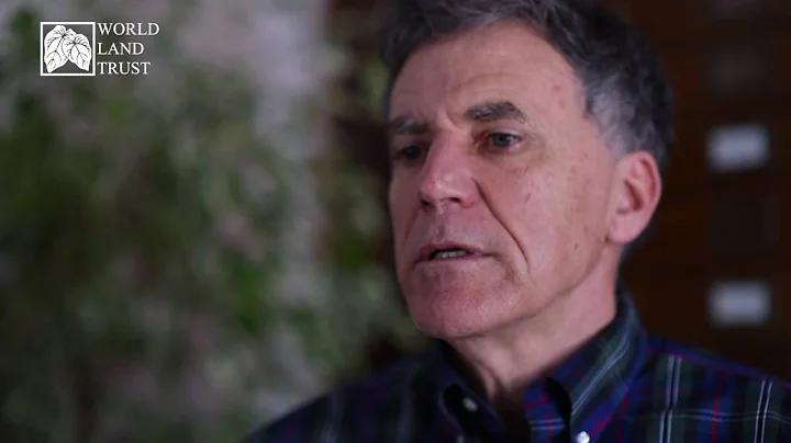 News - Byron Swift on Rainforests