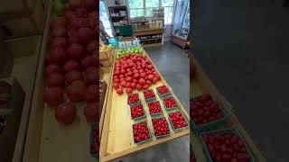 If You Love Supporting Local Places, 100% Check It Out