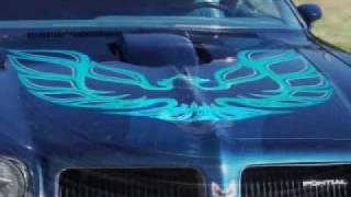 1974 Pontiac Firebird Trans Am SD-455 Pontiac Firebird Sd 455