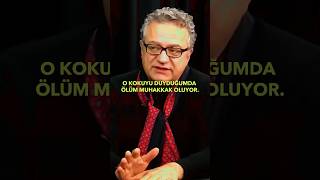 30 yıllık yoğun bakım doktoru Kadir Doğruer’in,”Ölümün kokusu var”dediğini duymuş muydunuz?