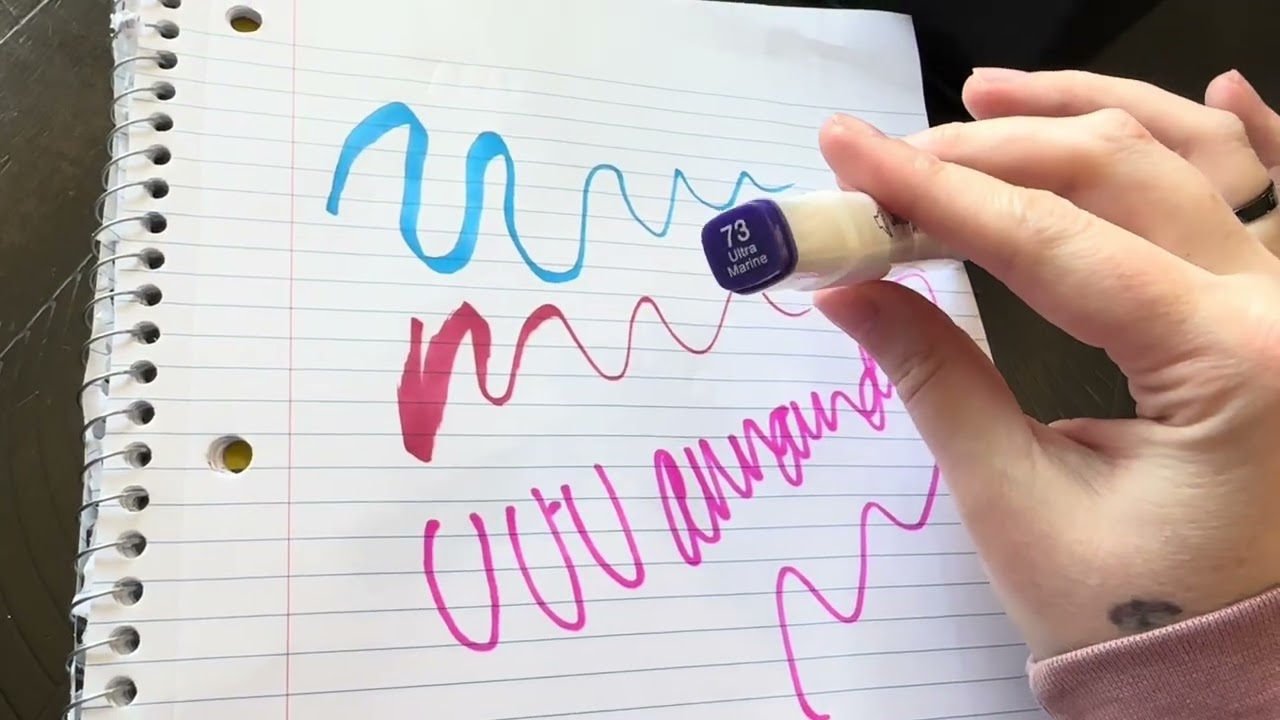 YASNAY Alcohol Markers, 48 Colors Dual Tip Art Marker Review 